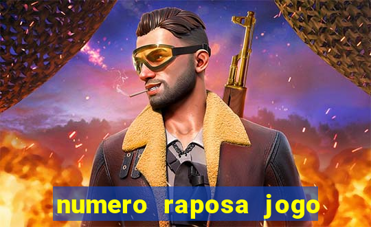 numero raposa jogo do bicho